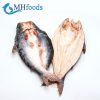 Pangasius Butterfly